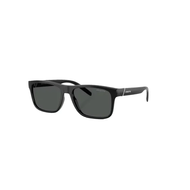 Arnette AN4298 sunglasses