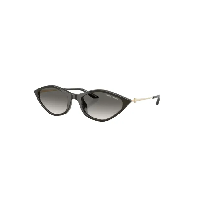 Armani Exchange AX4152SU sunglasses