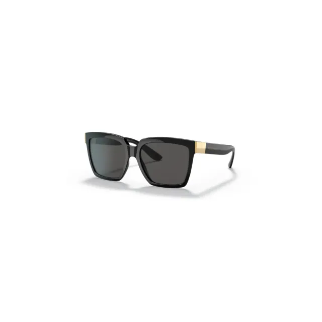 Dolce&Gabbana DG6165 sunglasses