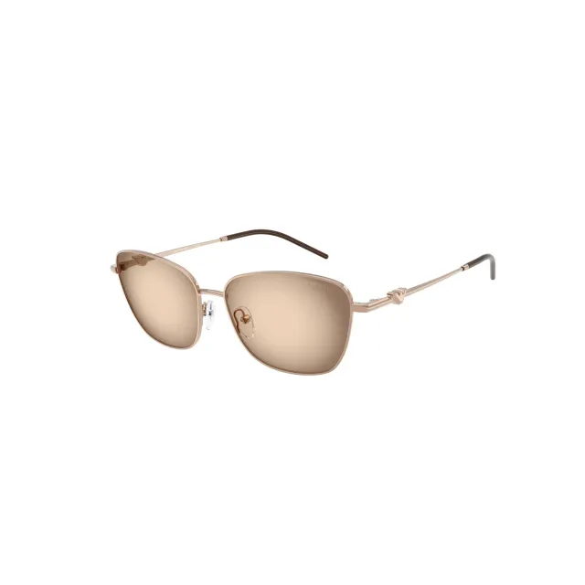 Emporio Armani EA2170 sunglasses