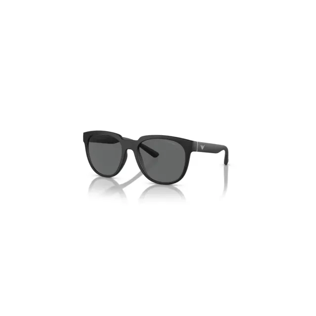 Emporio Armani EA4205 sunglasses