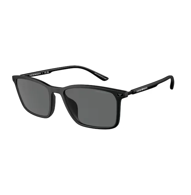 Emporio Armani EA4223U sunglasses