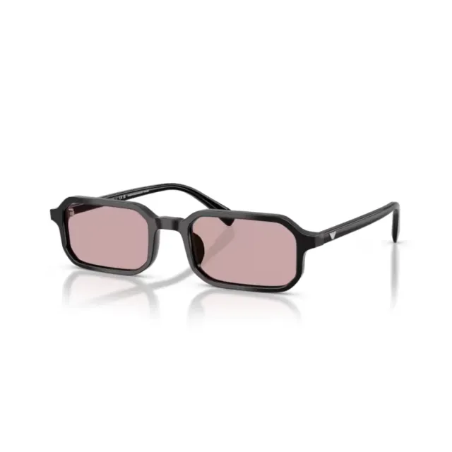 Emporio Armani EA4253U sunglasses