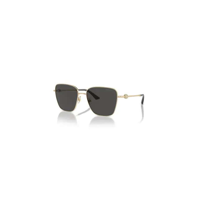 Jimmy Choo JC4005HB sunglasses
