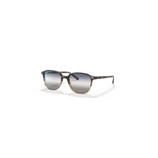 Ray-Ban RB21931 sunglasses