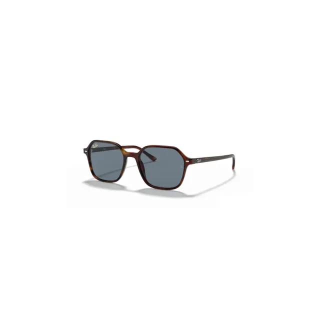 Ray-Ban RB21949 sunglasses