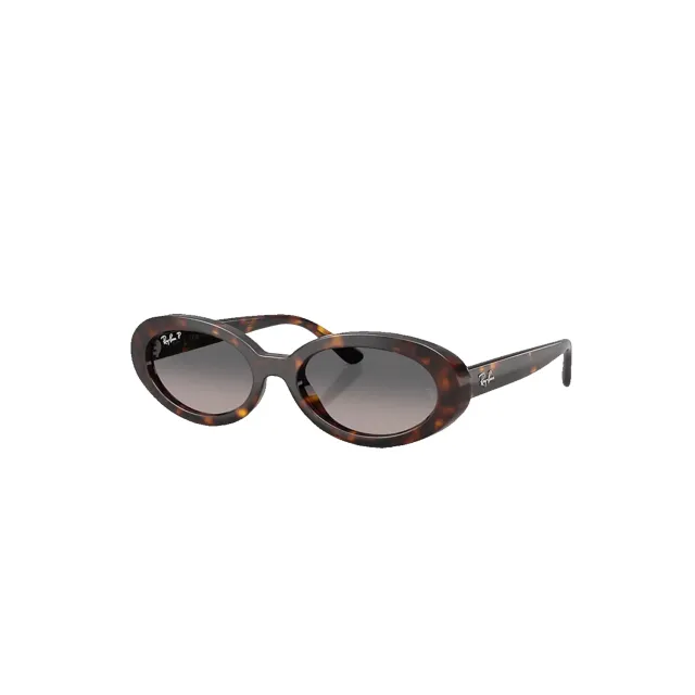 Ray-Ban RB2223 sunglasses