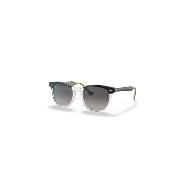 Ray-Ban RB22981 sunglasses