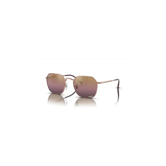 Ray-Ban RB3694 sunglasses