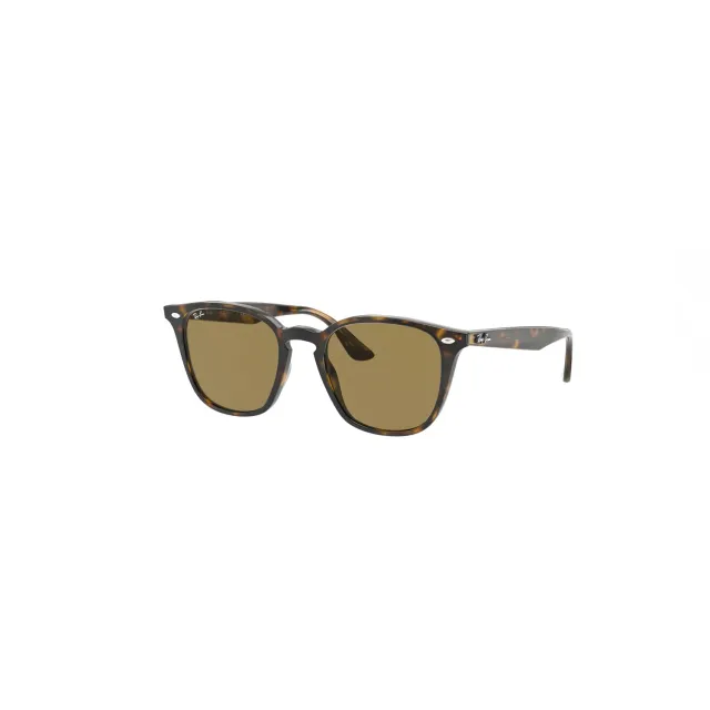 Ray-Ban RB4258F sunglasses