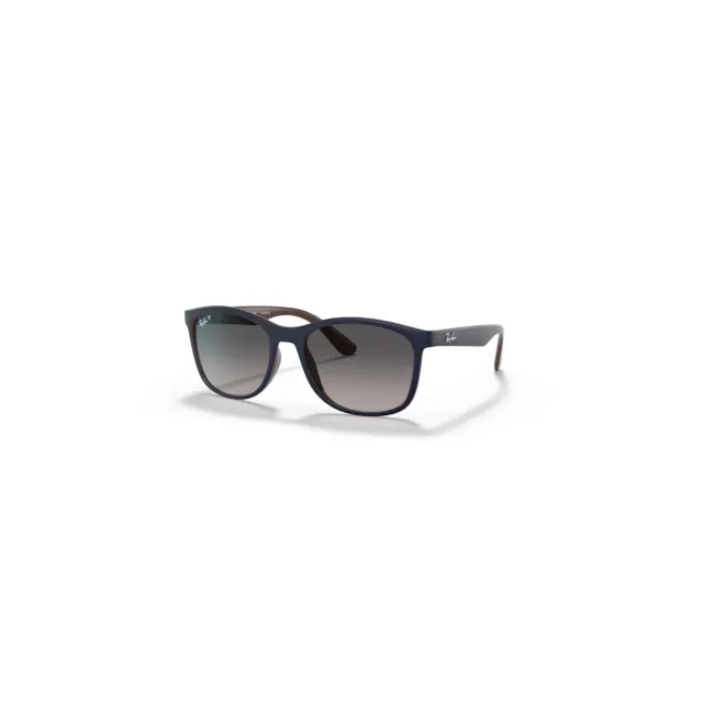 Ray-Ban RB43746 sunglasses