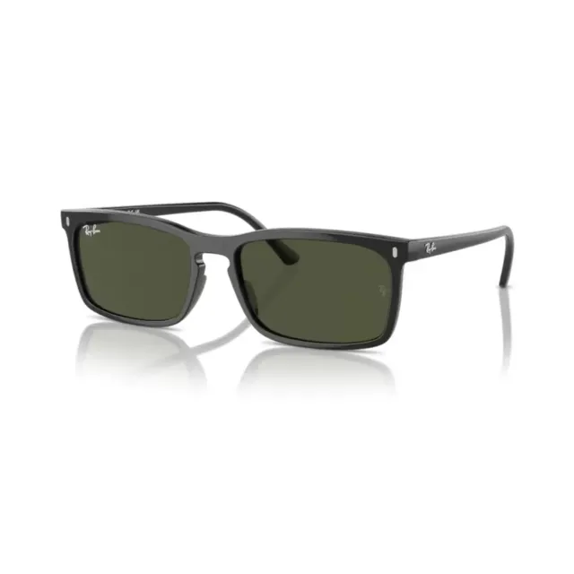 Ray-Ban RB4435 sunglasses