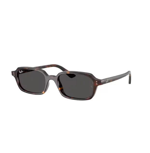 Ray-Ban RB4455 sunglasses