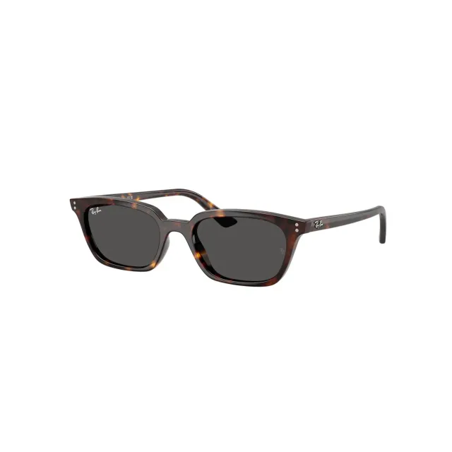 Ray-Ban RB4456 sunglasses