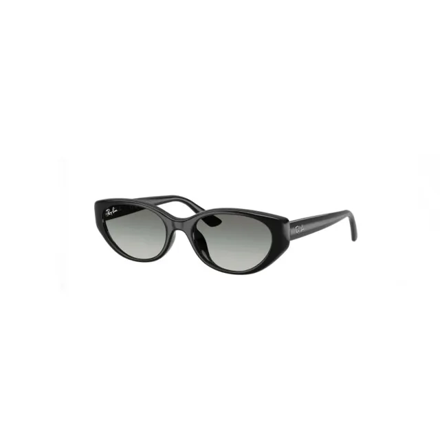 Ray-Ban RB4457D sunglasses