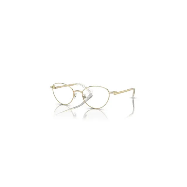 Swarovski SK1002 eyeglasses