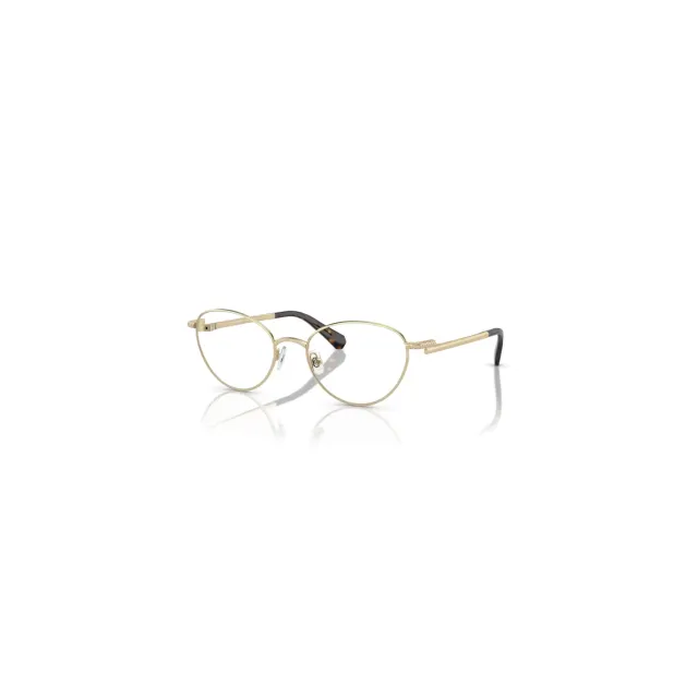 Swarovski SK10024 eyeglasses
