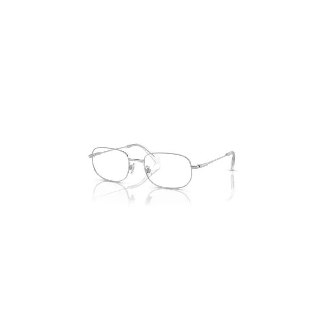 Swarovski SK1005 eyeglasses