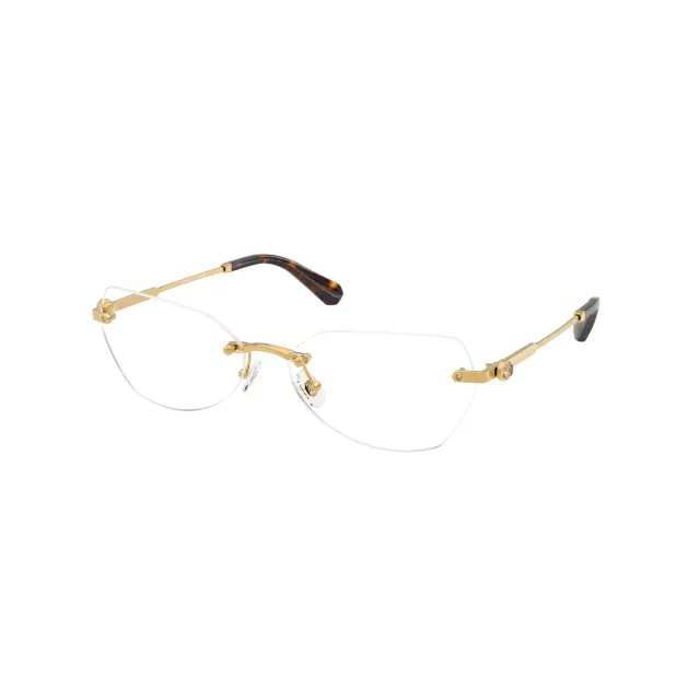 Swarovski SK1031 eyeglasses
