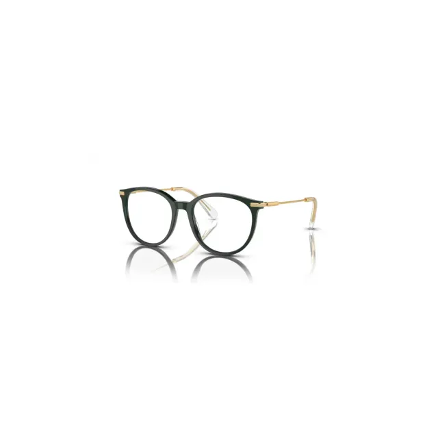 Swarovski SK2009 eyeglasses