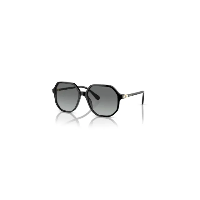 Swarovski SK6003 sunglasses