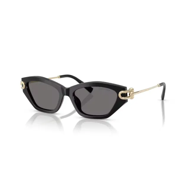 Tiffany&Co TF4231 sunglasses
