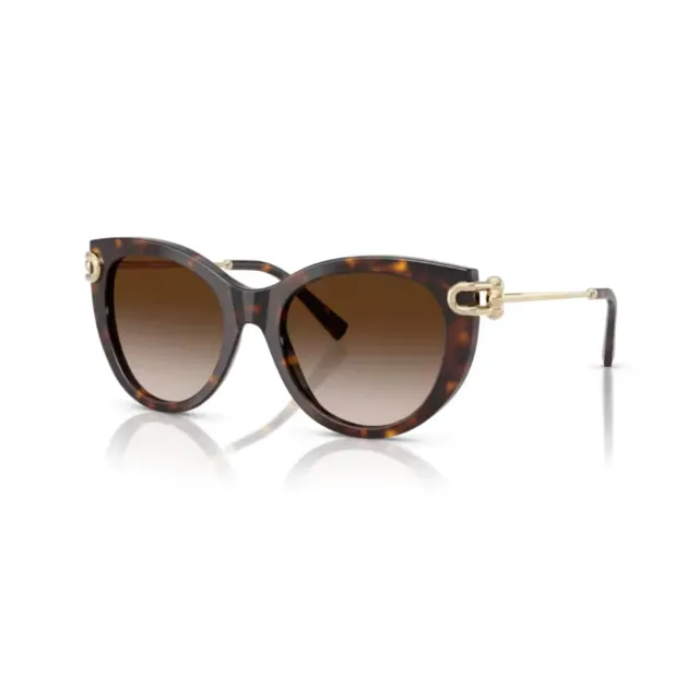 Tiffany&Co TF4232 sunglasses