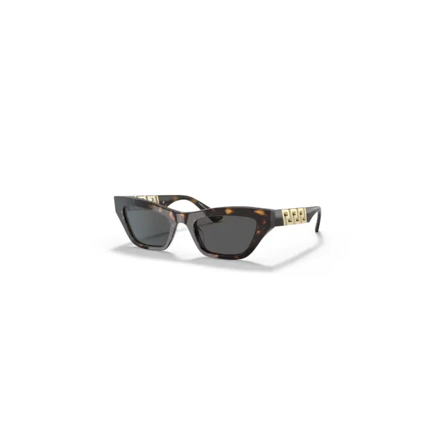 Versace VE4419GB sunglasses