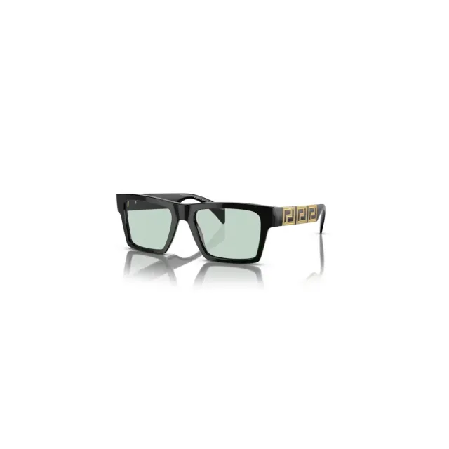 Versace VE4445 sunglasses