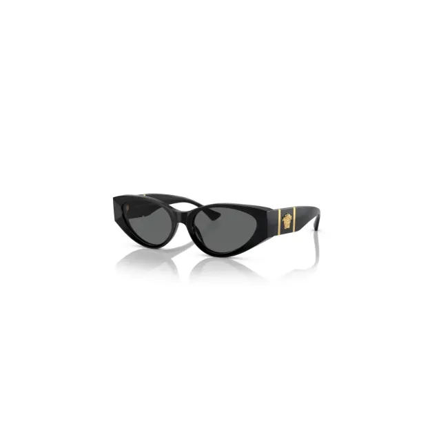 Versace VE4454 sunglasses